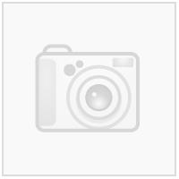 BI Athletics klubblogo Hvit N Transfermerke 80mmx69mm